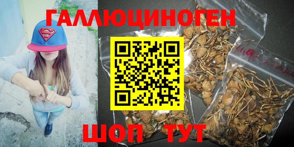 Псилоцибиновые грибы мухоморы Прокопьевск