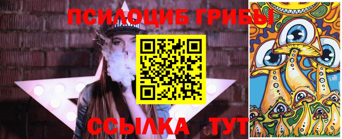 Галлюциногенные грибы MAGIC MUSHROOMS  Вход с VPN  Прокопьевск 